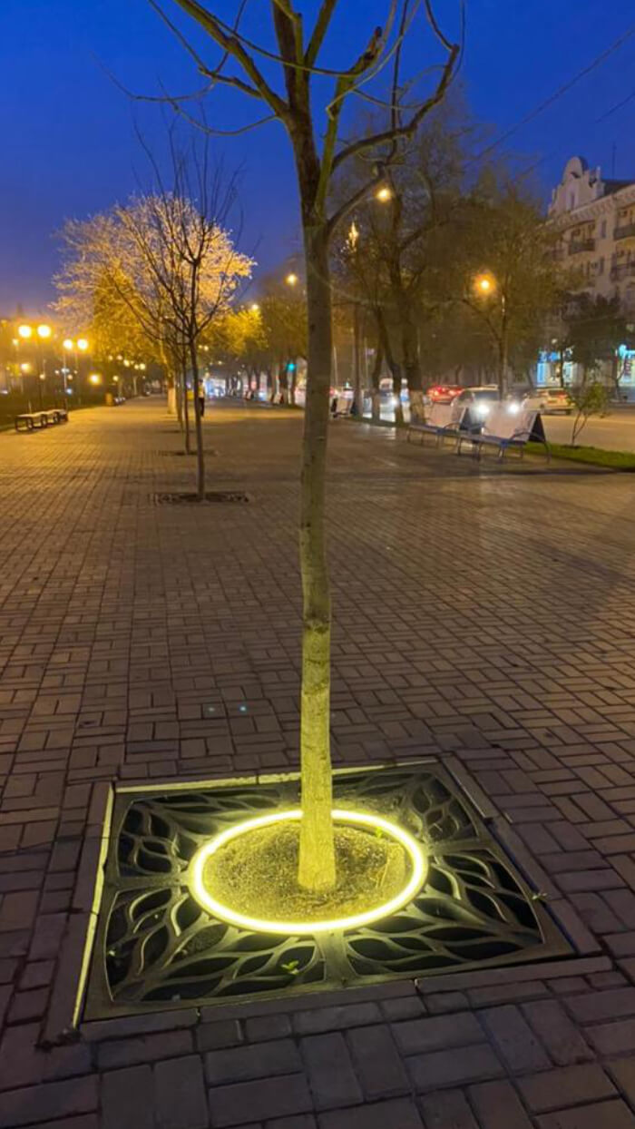 Приствольная решетка для дерева ZKING CRUST 1.2х1.2м Черная в Феодосии фото